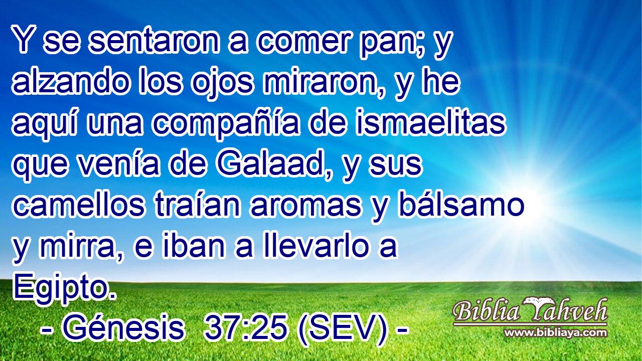 Y se sentaron a comer pan; y alzando los ojos miraron, y he aquí una compañía de ismaelitas que venía de Galaad, y sus camellos traían aromas y bálsamo y mirra, e iban a llevarlo a Egipto.