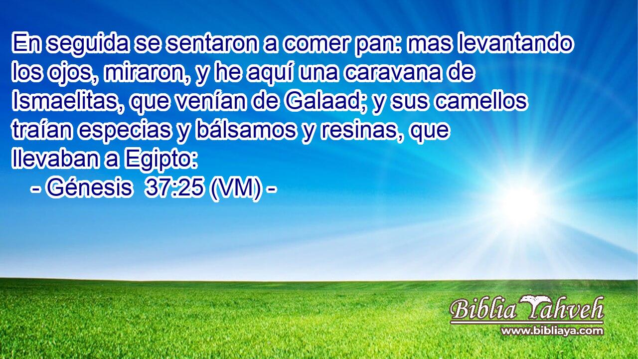  En seguida se sentaron a comer pan: mas levantando los ojos, miraron, y he aquí una caravana de Ismaelitas, que venían de Galaad; y sus camellos traían especias y bálsamos y resinas, que llevaban a Egipto: 