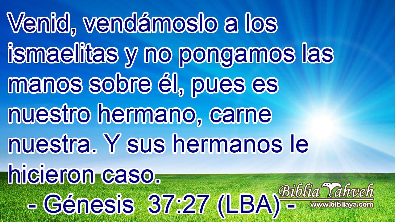 Venid, vendámoslo a los ismaelitas y no pongamos las manos sobre él, pues es nuestro hermano, carne nuestra. Y sus hermanos le hicieron caso.