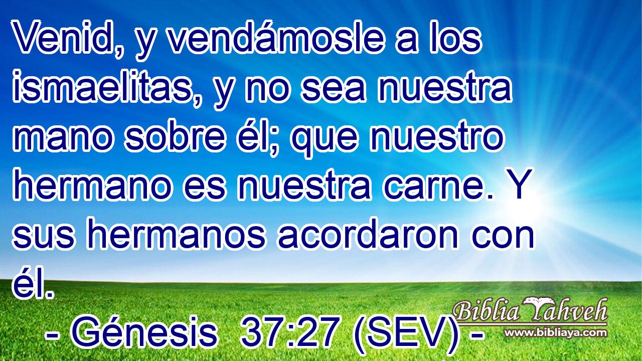Venid, y vendámosle a los ismaelitas, y no sea nuestra mano sobre él; que nuestro hermano es nuestra carne. Y sus hermanos acordaron con él.
