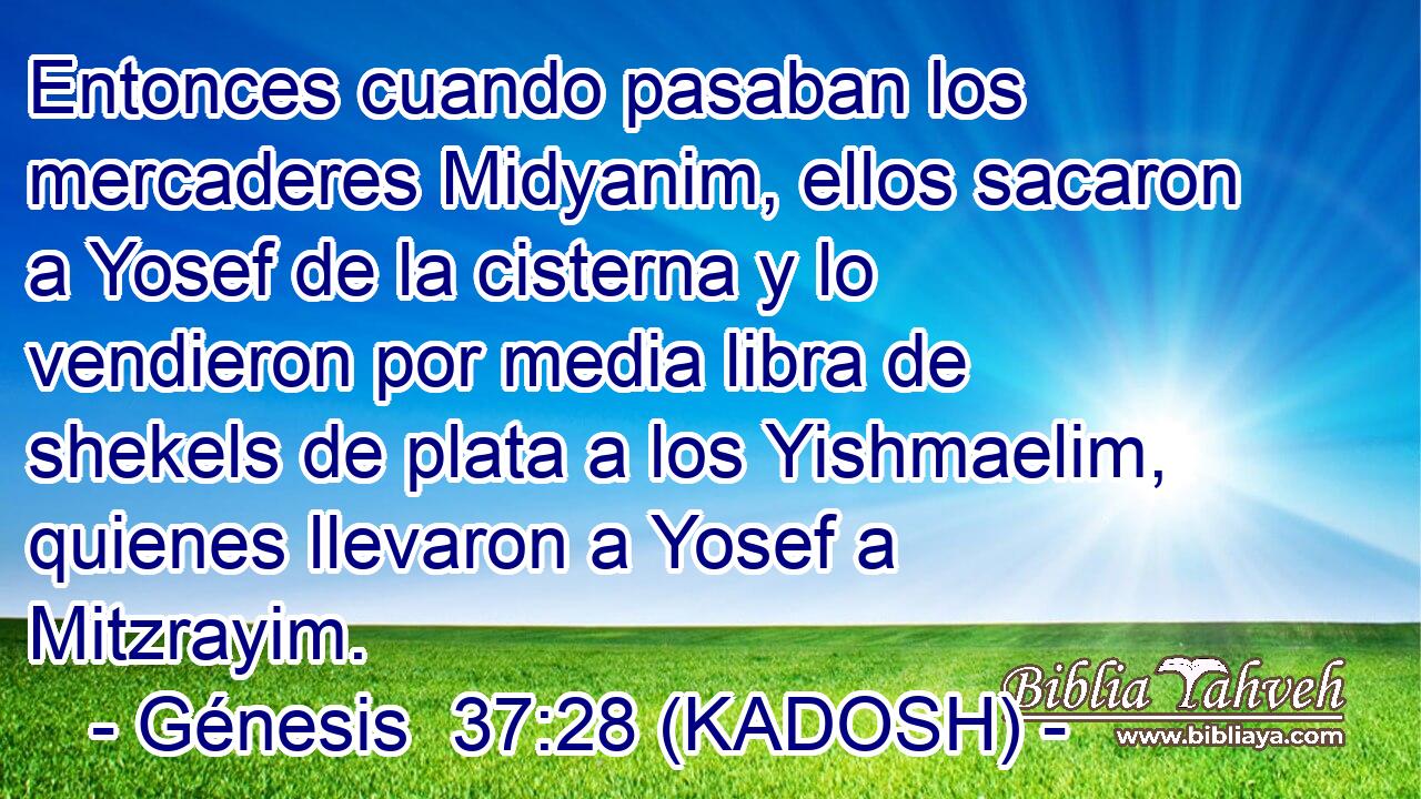  Entonces cuando pasaban los mercaderes Midyanim, ellos sacaron a Yosef de la cisterna y lo vendieron por media libra de shekels de plata a los Yishmaelim, quienes llevaron a Yosef a Mitzrayim. 
