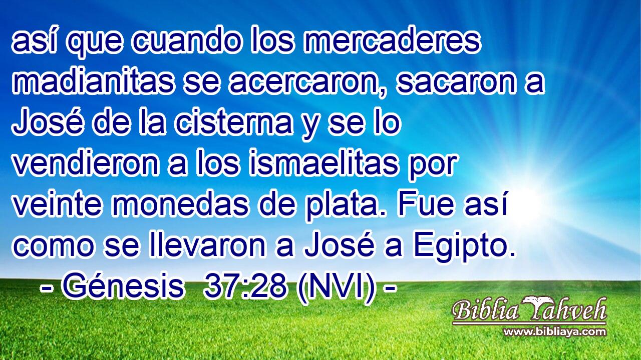  así que cuando los mercaderes madianitas se acercaron, sacaron a José de la cisterna y se lo vendieron a los ismaelitas por veinte monedas de plata. Fue así como se llevaron a José a Egipto. 