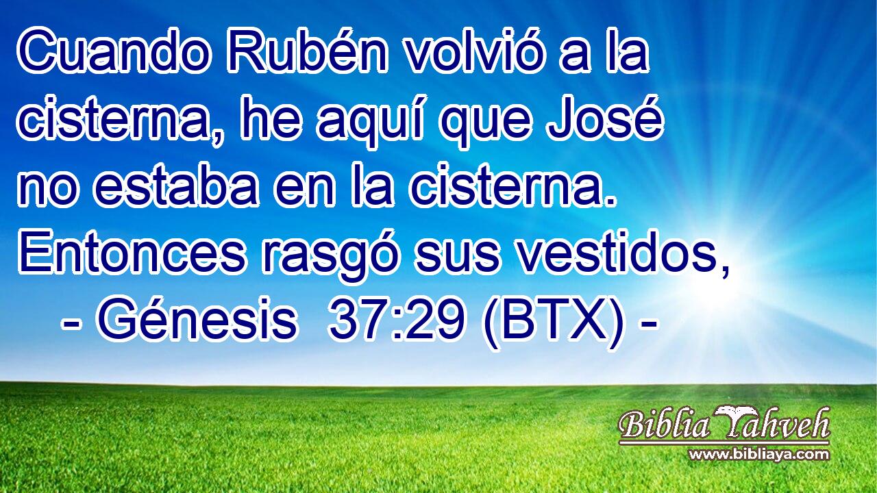 Cuando Rubén volvió a la cisterna, he aquí que José no estaba en la cisterna. Entonces rasgó sus vestidos,