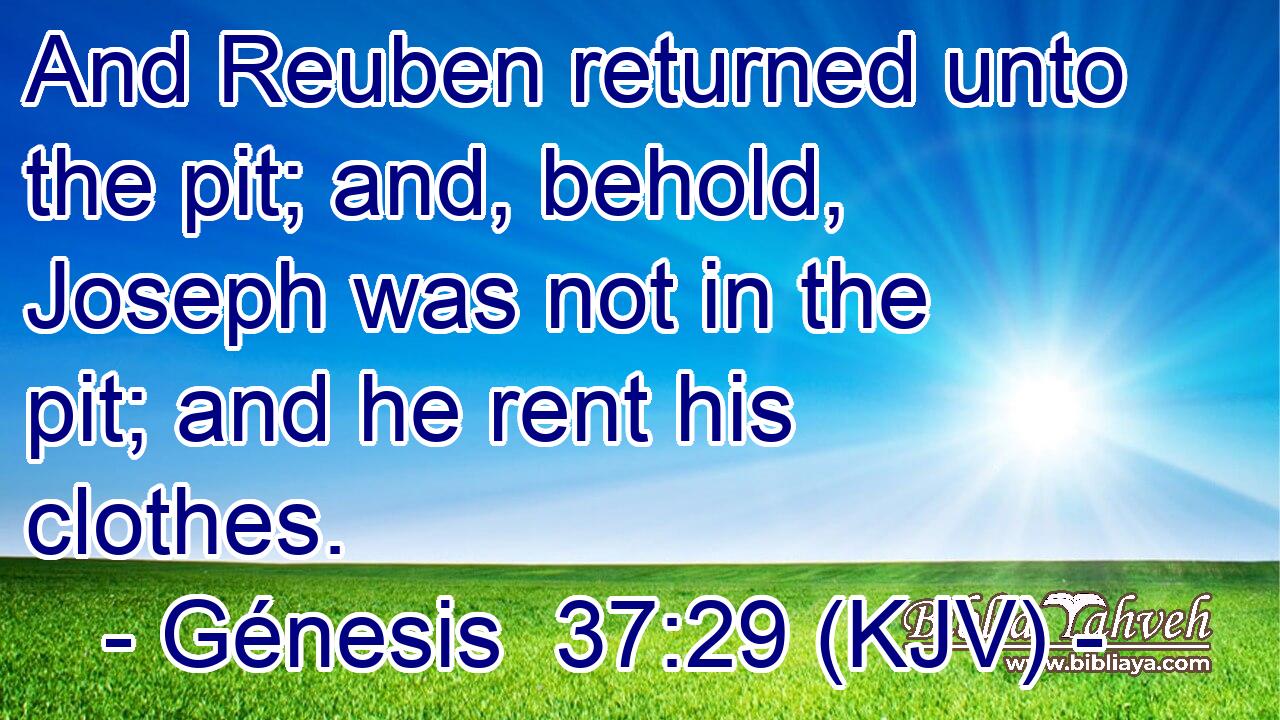 And Reuben returned unto the pit; and, behold, Joseph was not in the pit; and he rent his clothes.
