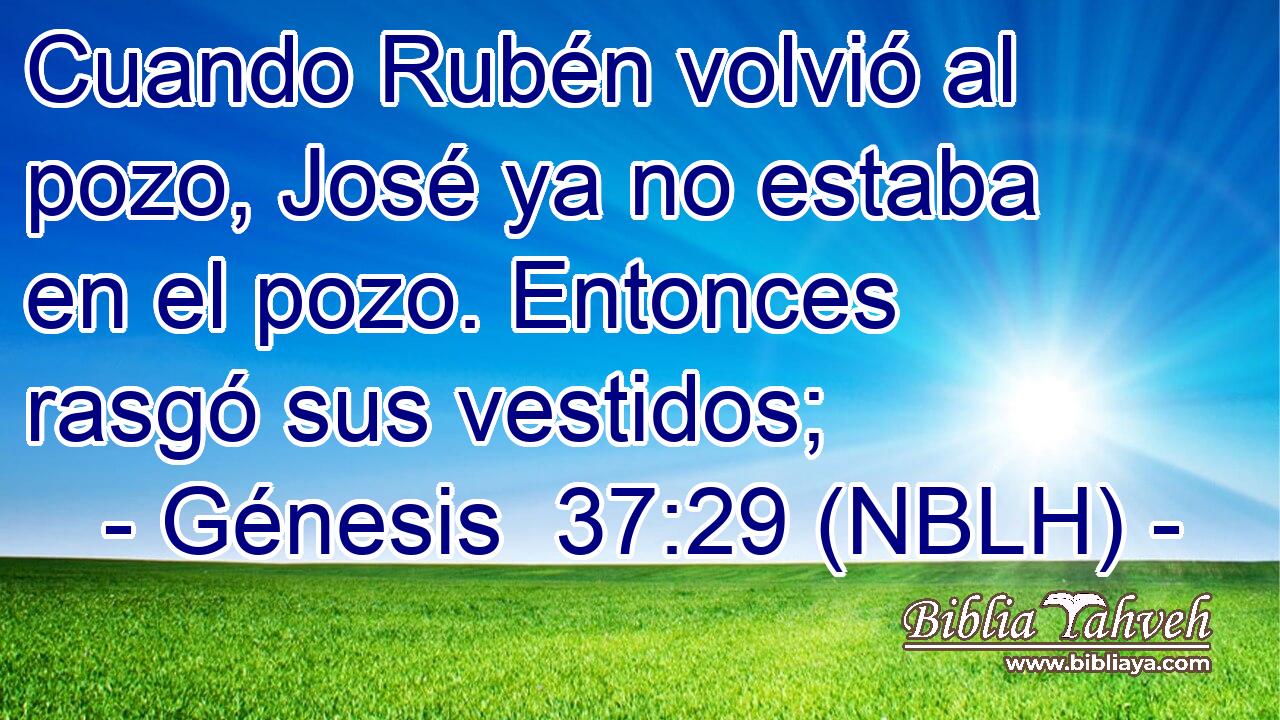  Cuando Rubén volvió al pozo, José ya no estaba en el pozo. Entonces rasgó sus vestidos; 