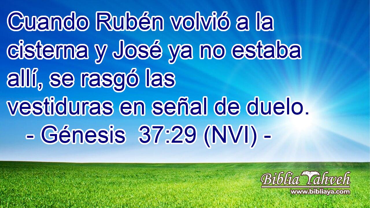  Cuando Rubén volvió a la cisterna y José ya no estaba allí, se rasgó las vestiduras en señal de duelo. 