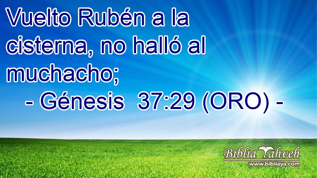  Vuelto Rubén a la cisterna, no halló al muchacho; 