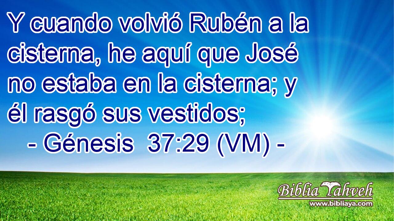  Y cuando volvió Rubén a la cisterna, he aquí que José no estaba en la cisterna; y él rasgó sus vestidos; 
