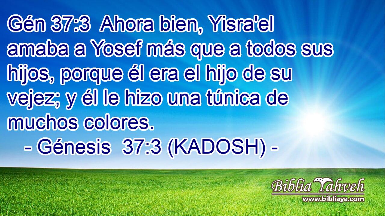  Ahora bien, Yisra'el amaba a Yosef más que a todos sus hijos, porque él era el hijo de su vejez; y él le hizo una túnica de muchos colores. 