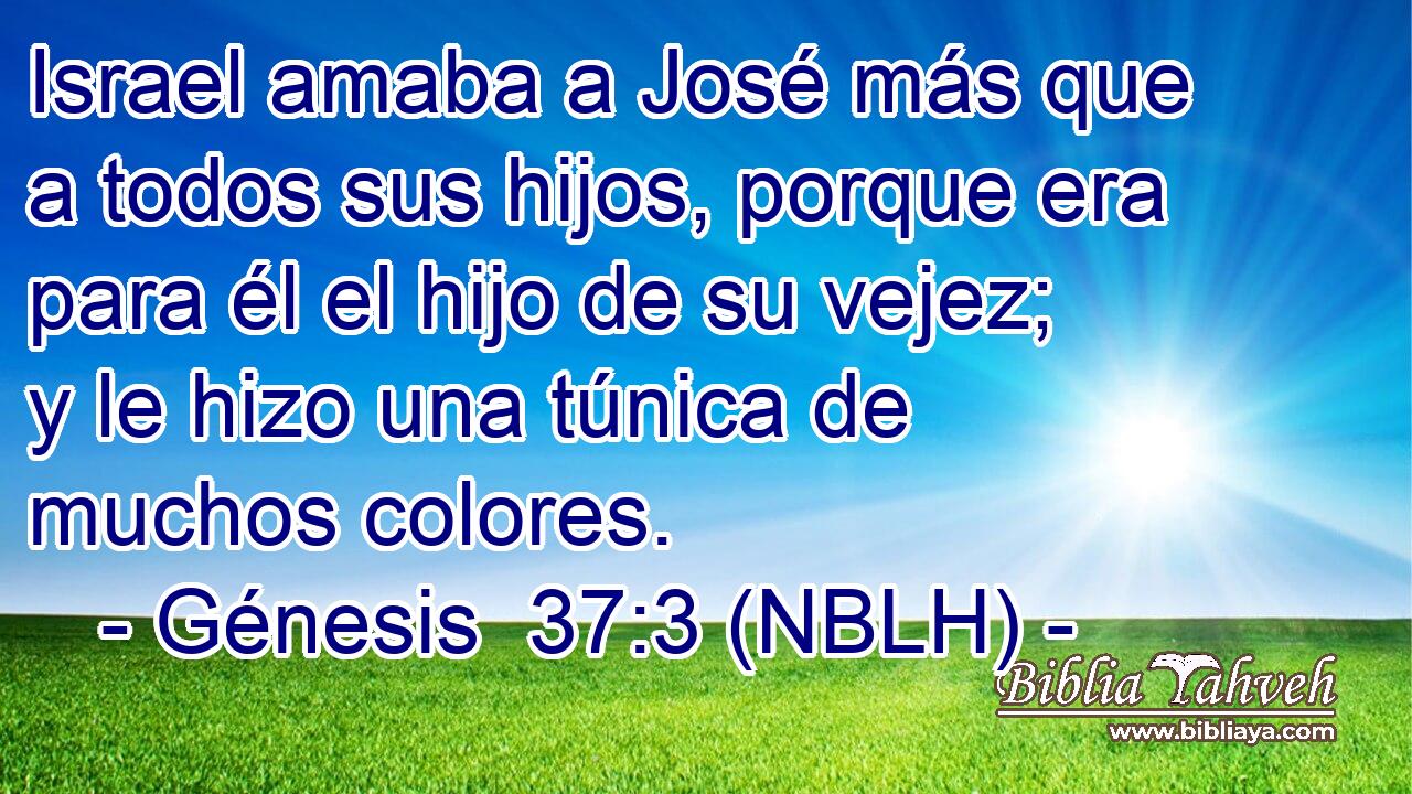  Israel amaba a José más que a todos sus hijos, porque era para él el hijo de su vejez; y le hizo una túnica de muchos colores. 