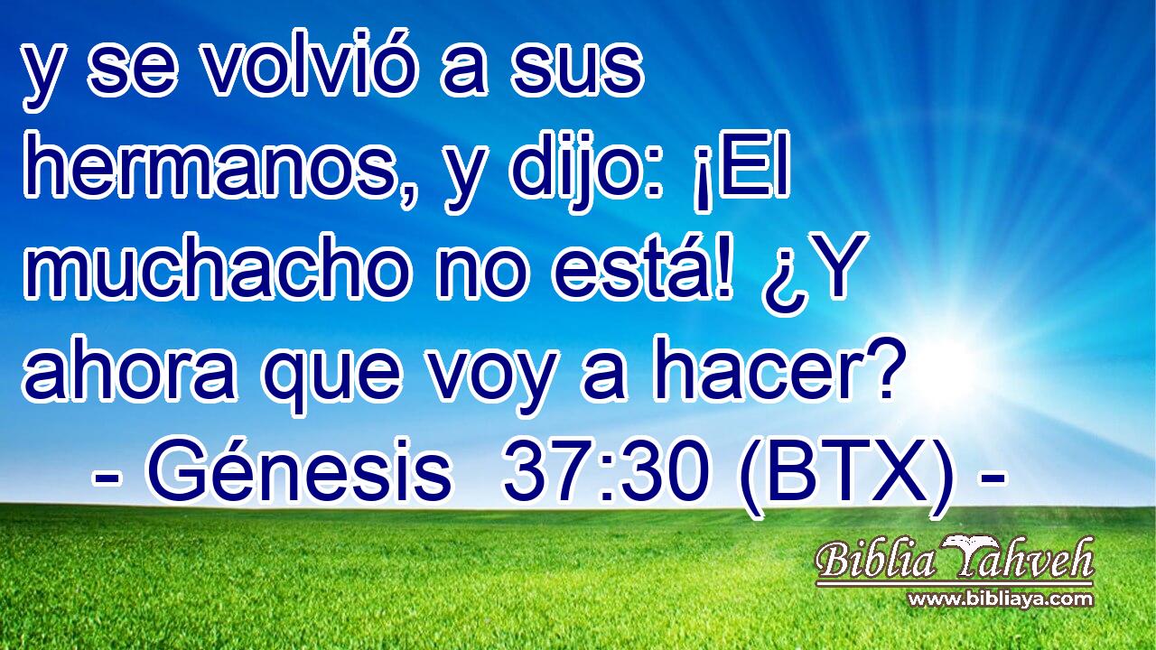 y se volvió a sus hermanos, y dijo: ¡El muchacho no está! ¿Y ahora que voy a hacer?