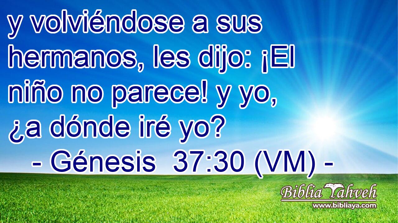  y volviéndose a sus hermanos, les dijo: ¡El niño no parece! y yo, ¿a dónde iré yo? 