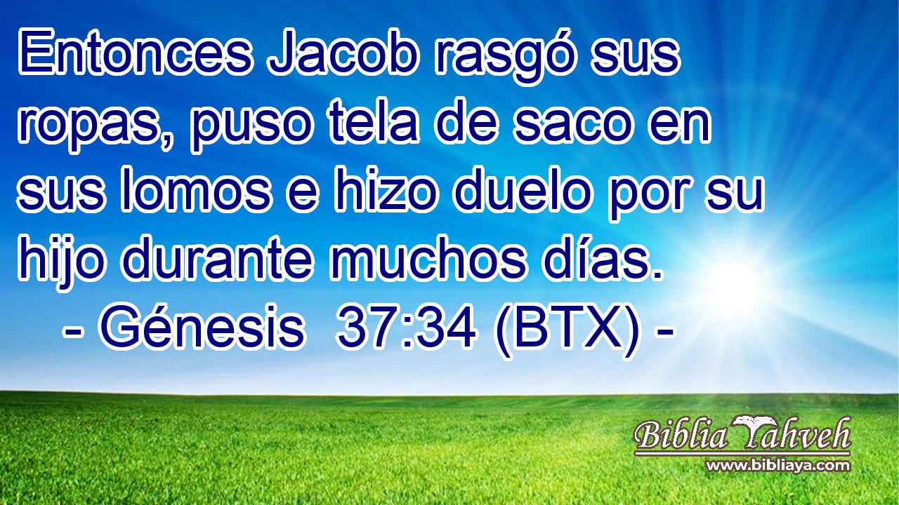 Entonces Jacob rasgó sus ropas, puso tela de saco en sus lomos e hizo duelo por su hijo durante muchos días.