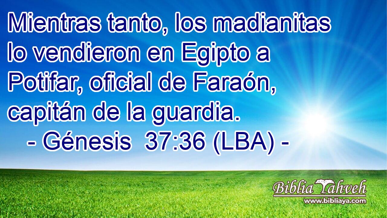 Mientras tanto, los madianitas lo vendieron en Egipto a Potifar, oficial de Faraón, capitán de la guardia.