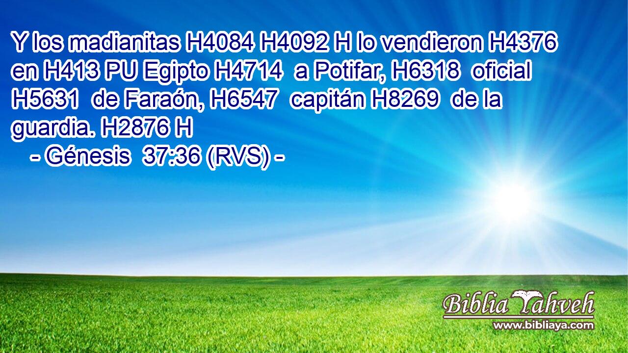 Y los madianitas H4084 H4092 H lo vendieron H4376  en H413 PU Egipto H4714  a Potifar, H6318  oficial H5631  de Faraón, H6547  capitán H8269  de la guardia. H2876 H 