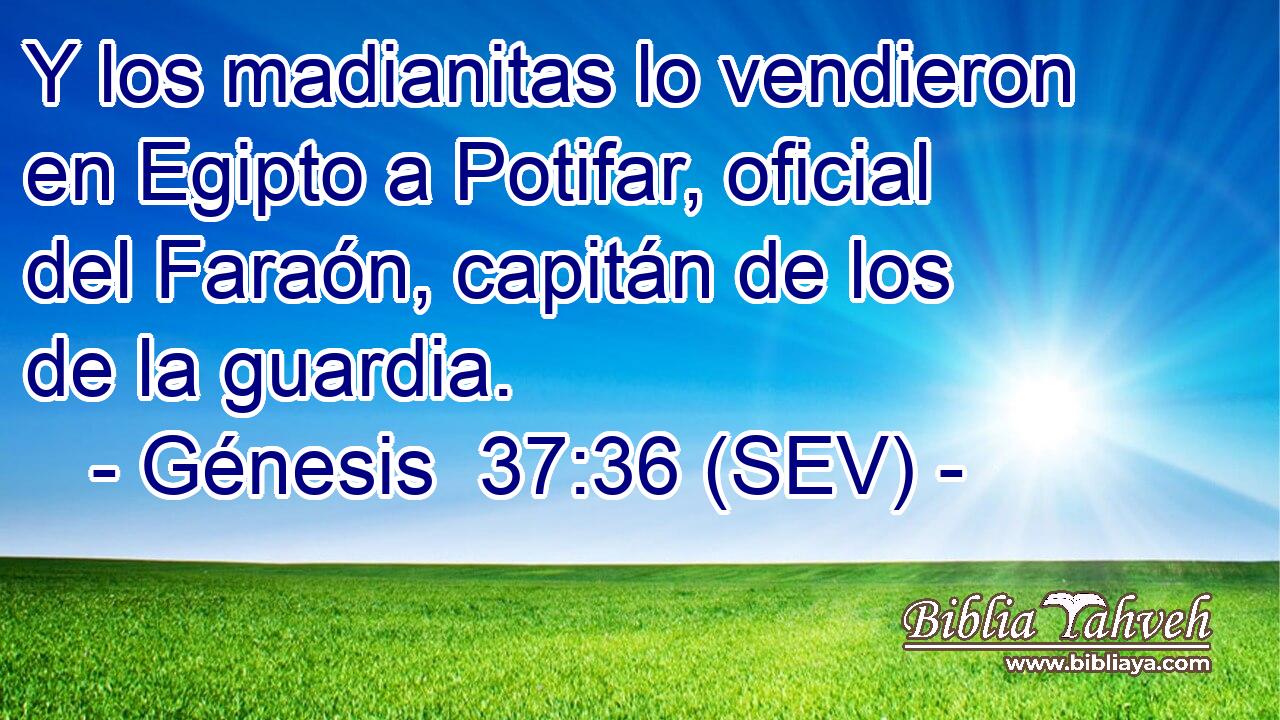 Y los madianitas lo vendieron en Egipto a Potifar, oficial del Faraón, capitán de los de la guardia.