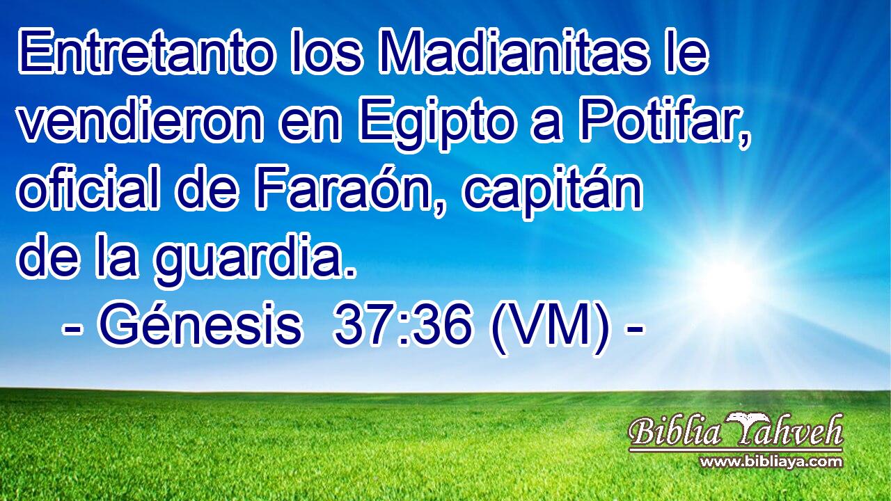  Entretanto los Madianitas le vendieron en Egipto a Potifar, oficial de Faraón, capitán de la guardia. 