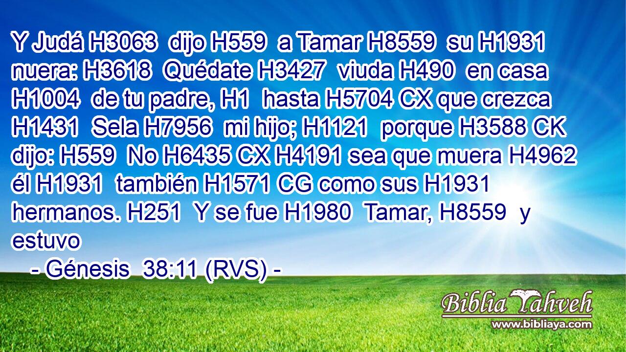 Y Judá H3063  dijo H559  a Tamar H8559  su H1931  nuera: H3618  Quédate H3427  viuda H490  en casa H1004  de tu padre, H1  hasta H5704 CX que crezca H1431  Sela H7956  mi hijo; H1121  porque H3588 CK dijo: H559  No H6435 CX H4191 sea que muera H4962  él H1931  también H1571 CG como sus H1931  hermanos. H251  Y se fue H1980  Tamar, H8559  y estuvo