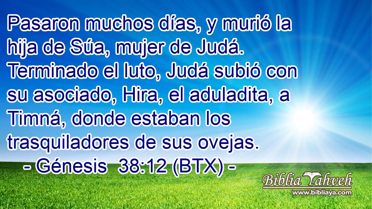 Pasaron muchos días, y murió la hija de Súa, mujer de Judá. Terminado el luto, Judá subió con su asociado, Hira, el aduladita, a Timná, donde estaban los trasquiladores de sus ovejas.