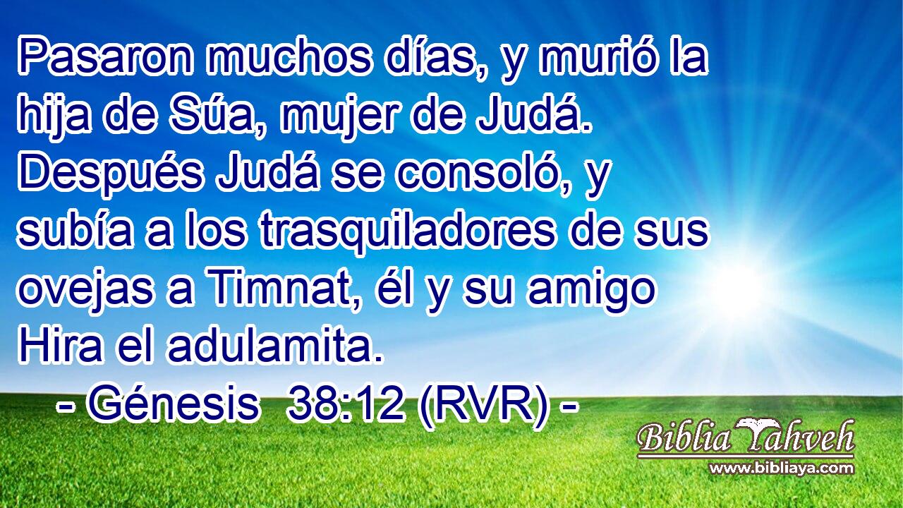 Pasaron muchos días, y murió la hija de Súa, mujer de Judá. Después Judá se consoló, y subía a los trasquiladores de sus ovejas a Timnat, él y su amigo Hira el adulamita.