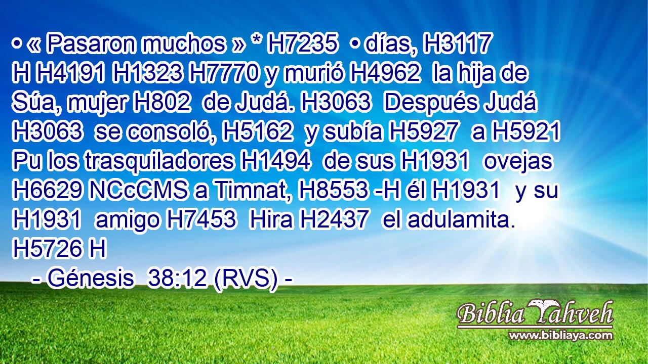 • « Pasaron muchos » * H7235  • días, H3117 H H4191 H1323 H7770 y murió H4962  la hija de Súa, mujer H802  de Judá. H3063  Después Judá H3063  se consoló, H5162  y subía H5927  a H5921 Pu los trasquiladores H1494  de sus H1931  ovejas H6629 NCcCMS a Timnat, H8553 -H él H1931  y su H1931  amigo H7453  Hira H2437  el adulamita. H5726 H 