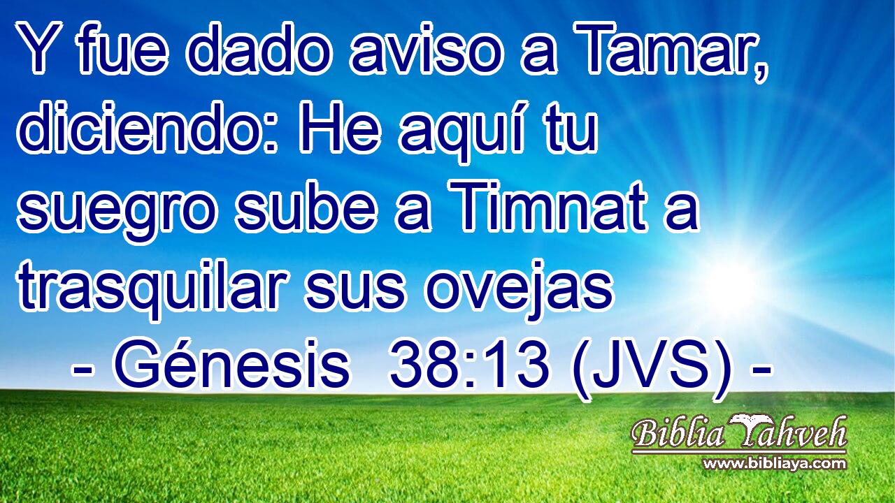 Y fue dado aviso a Tamar, diciendo: He aquí tu suegro sube a Timnat a trasquilar sus ovejas