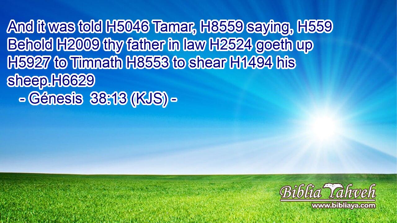 And it was told H5046 Tamar, H8559 saying, H559 Behold H2009 thy father in law H2524 goeth up H5927 to Timnath H8553 to shear H1494 his sheep.H6629