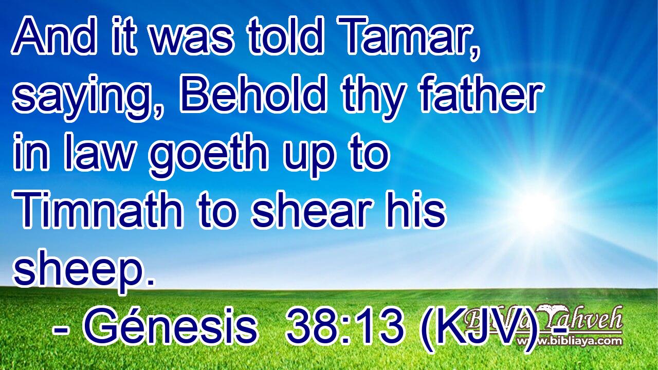 And it was told Tamar, saying, Behold thy father in law goeth up to Timnath to shear his sheep.