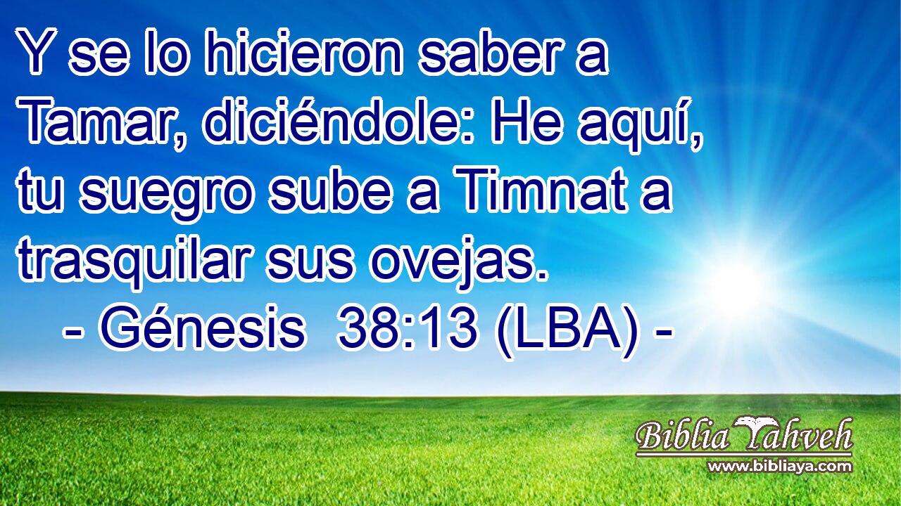 Y se lo hicieron saber a Tamar, diciéndole: He aquí, tu suegro sube a Timnat a trasquilar sus ovejas.
