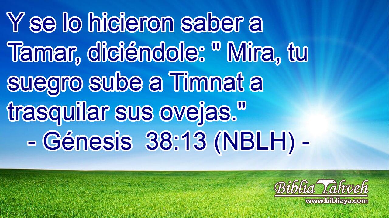  Y se lo hicieron saber a Tamar, diciéndole: 