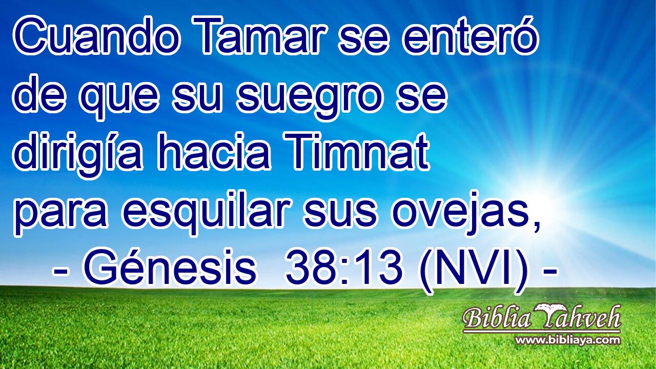  Cuando Tamar se enteró de que su suegro se dirigía hacia Timnat para esquilar sus ovejas, 