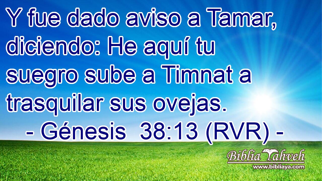 Y fue dado aviso a Tamar, diciendo: He aquí tu suegro sube a Timnat a trasquilar sus ovejas.