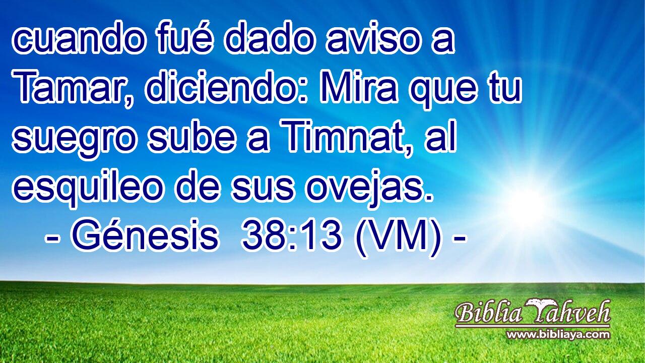  cuando fué dado aviso a Tamar, diciendo: Mira que tu suegro sube a Timnat, al esquileo de sus ovejas. 
