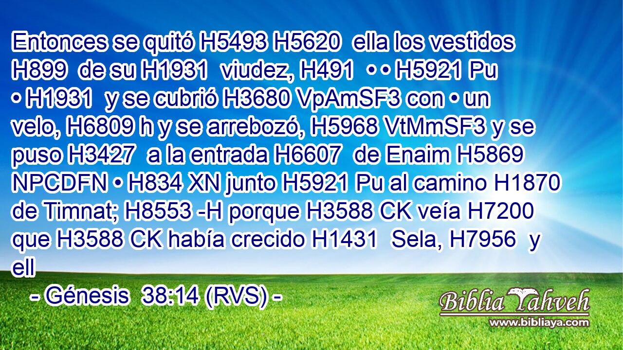 Entonces se quitó H5493 H5620  ella los vestidos H899  de su H1931  viudez, H491  • • H5921 Pu • H1931  y se cubrió H3680 VpAmSF3 con • un velo, H6809 h y se arrebozó, H5968 VtMmSF3 y se puso H3427  a la entrada H6607  de Enaim H5869 NPCDFN • H834 XN junto H5921 Pu al camino H1870  de Timnat; H8553 -H porque H3588 CK veía H7200  que H3588 CK había crecido H1431  Sela, H7956  y ell