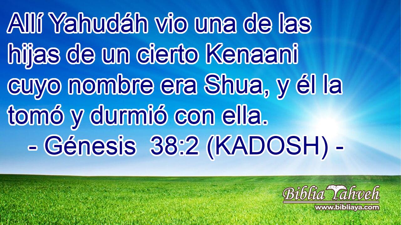 Allí Yahudáh vio una de las hijas de un cierto Kenaani cuyo nombre era Shua, y él la tomó y durmió con ella. 