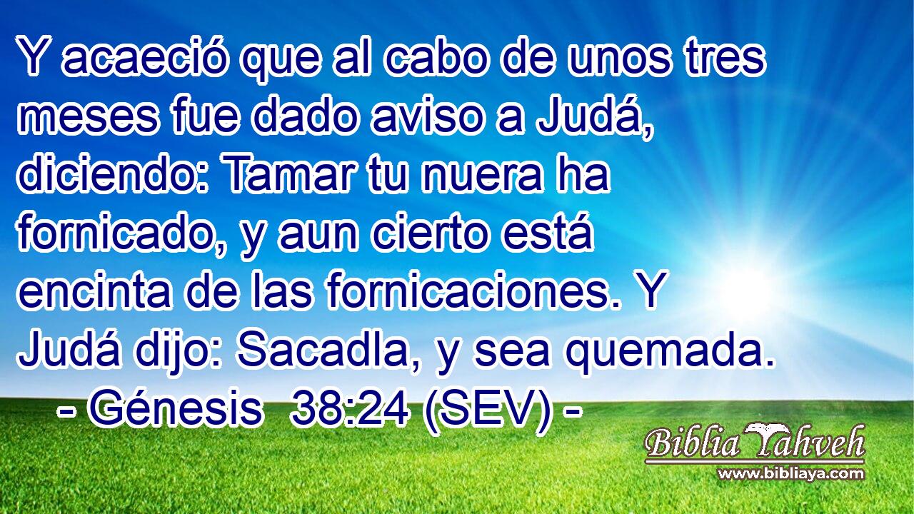 Y acaeció que al cabo de unos tres meses fue dado aviso a Judá, diciendo: Tamar tu nuera ha fornicado, y aun cierto está encinta de las fornicaciones. Y Judá dijo: Sacadla, y sea quemada.