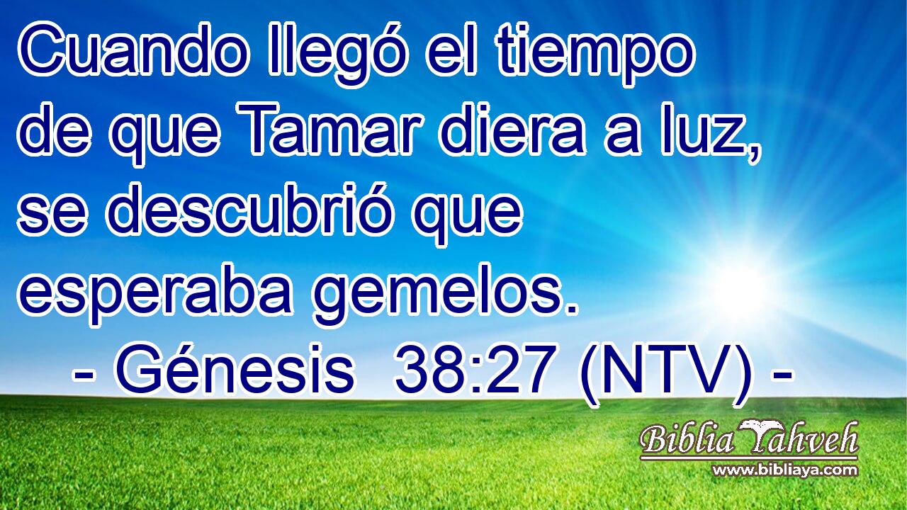 Cuando llegó el tiempo de que Tamar diera a luz, se descubrió que esperaba gemelos.