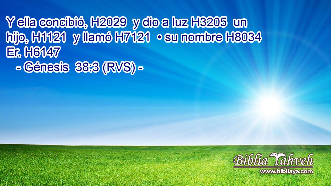 Y ella concibió, H2029  y dio a luz H3205  un hijo, H1121  y llamó H7121  • su nombre H8034  Er. H6147  