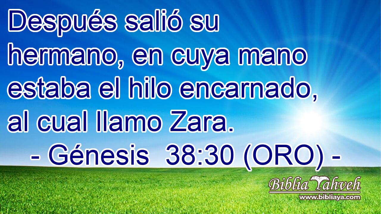  Después salió su hermano, en cuya mano estaba el hilo encarnado, al cual llamo Zara. 
