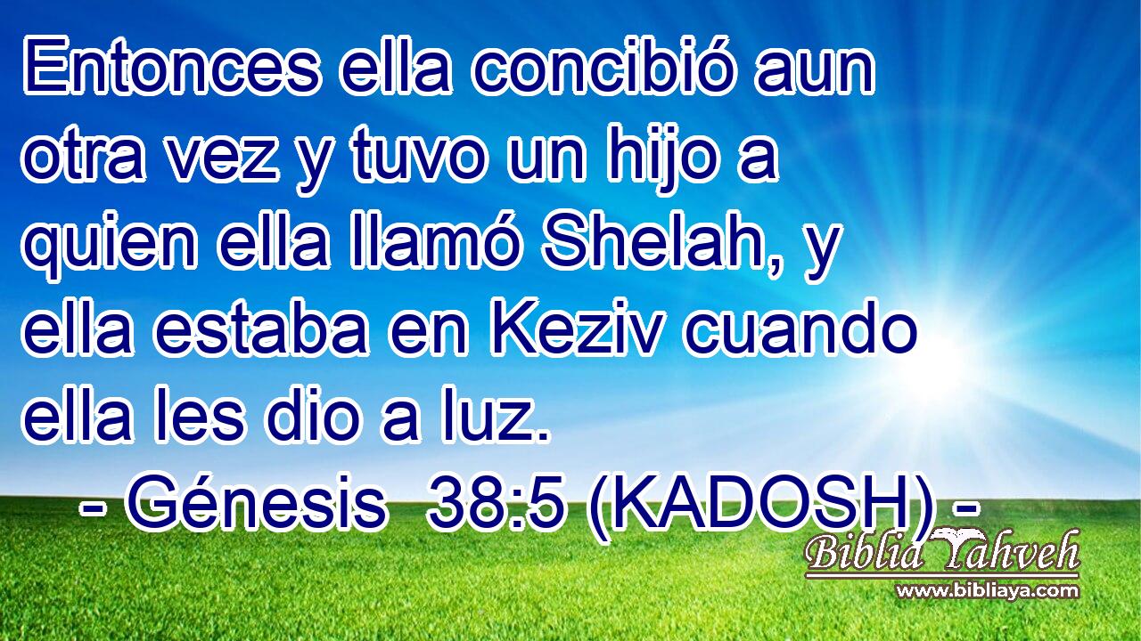  Entonces ella concibió aun otra vez y tuvo un hijo a quien ella llamó Shelah, y ella estaba en Keziv cuando ella les dio a luz. 