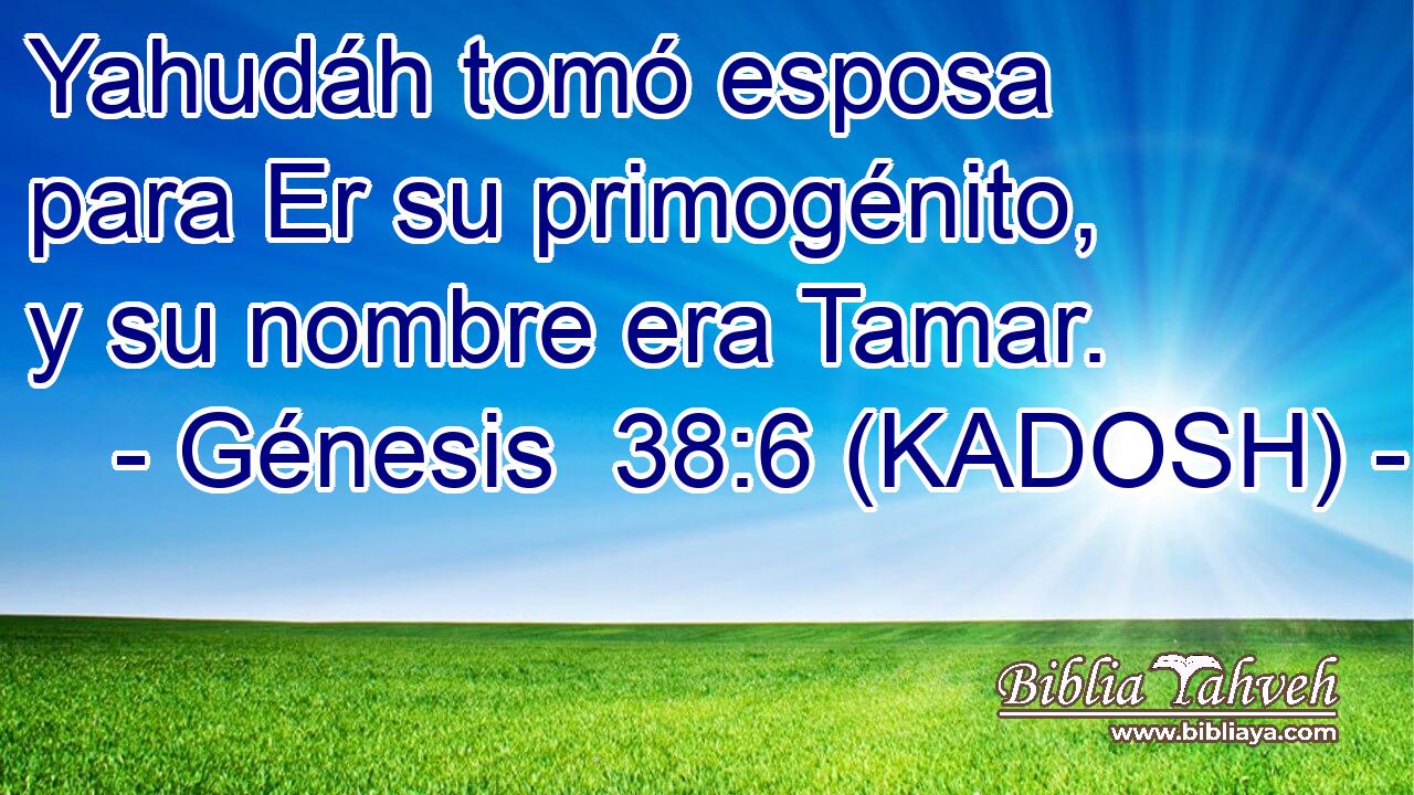  Yahudáh tomó esposa para Er su primogénito, y su nombre era Tamar. 