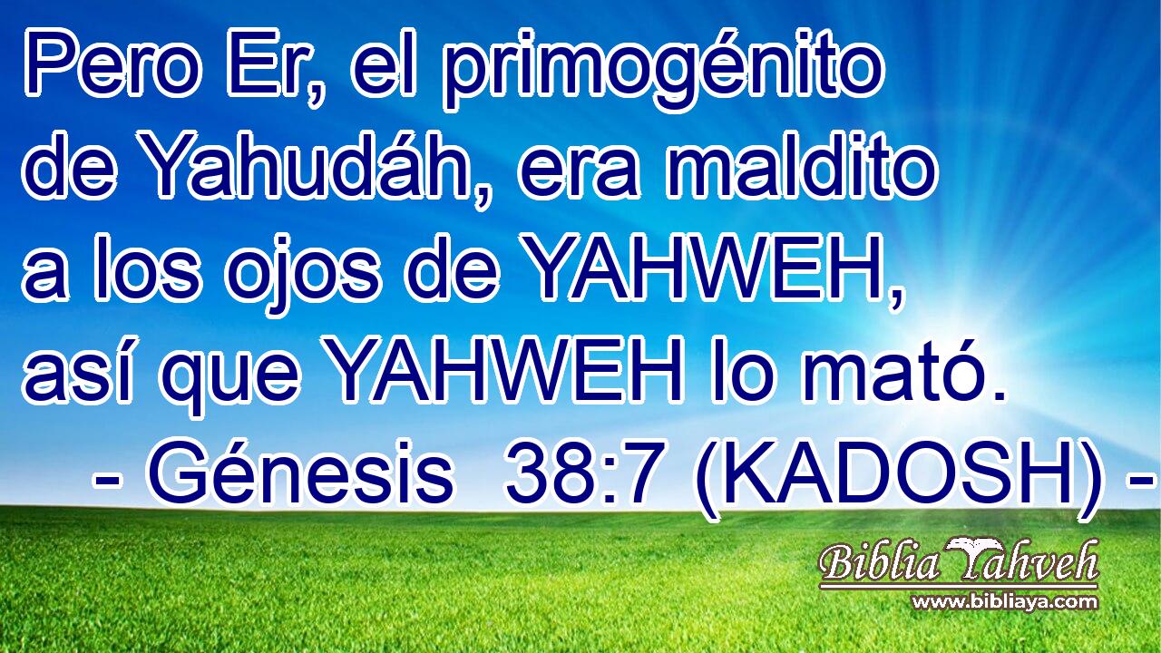  Pero Er, el primogénito de Yahudáh, era maldito a los ojos de YAHWEH, así que YAHWEH lo mató. 