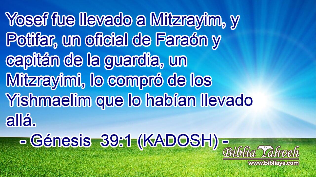  Yosef fue llevado a Mitzrayim, y Potifar, un oficial de Faraón y capitán de la guardia, un Mitzrayimi, lo compró de los Yishmaelim que lo habían llevado allá. 