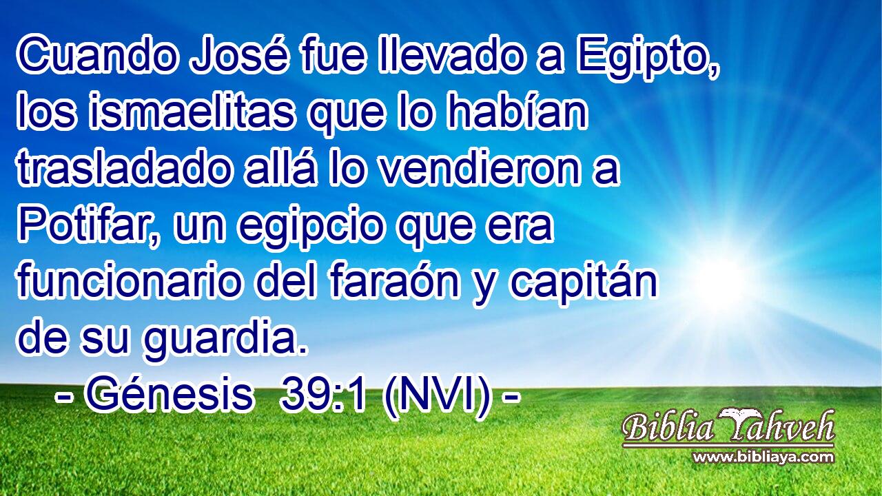  Cuando José fue llevado a Egipto, los ismaelitas que lo habían trasladado allá lo vendieron a Potifar, un egipcio que era funcionario del faraón y capitán de su guardia. 