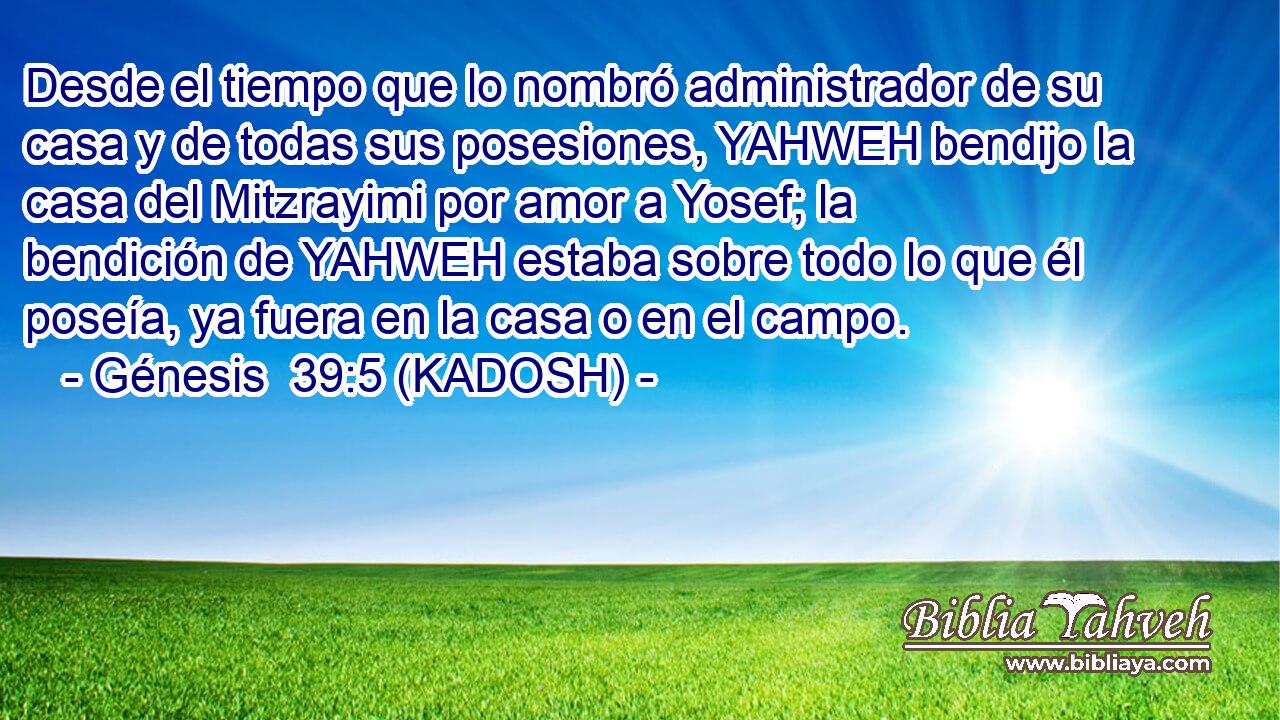  Desde el tiempo que lo nombró administrador de su casa y de todas sus posesiones, YAHWEH bendijo la casa del Mitzrayimi por amor a Yosef; la bendición de YAHWEH estaba sobre todo lo que él poseía, ya fuera en la casa o en el campo. 