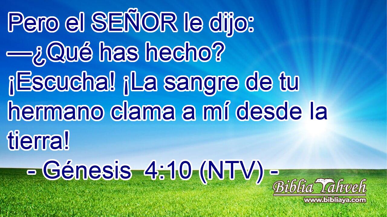 Pero el SEÑOR le dijo: —¿Qué has hecho? ¡Escucha! ¡La sangre de tu hermano clama a mí desde la tierra!