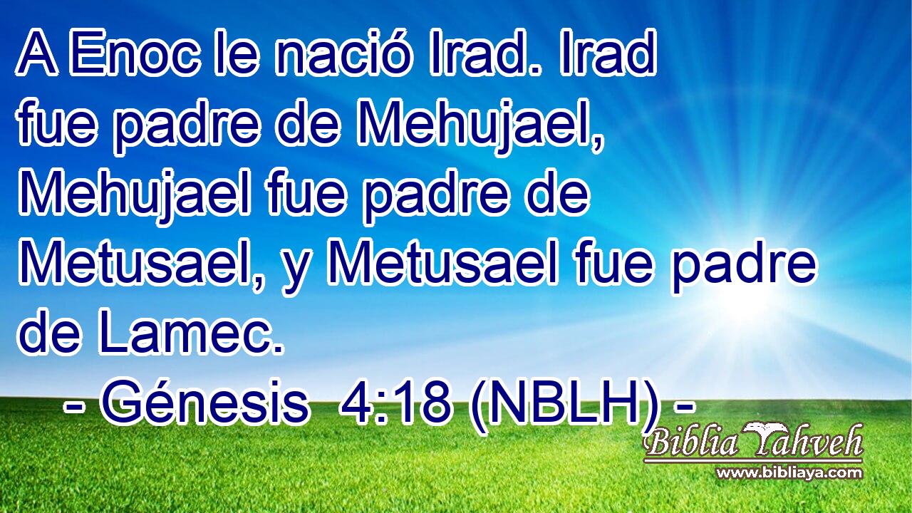  A Enoc le nació Irad. Irad fue padre de Mehujael, Mehujael fue padre de Metusael, y Metusael fue padre de Lamec. 