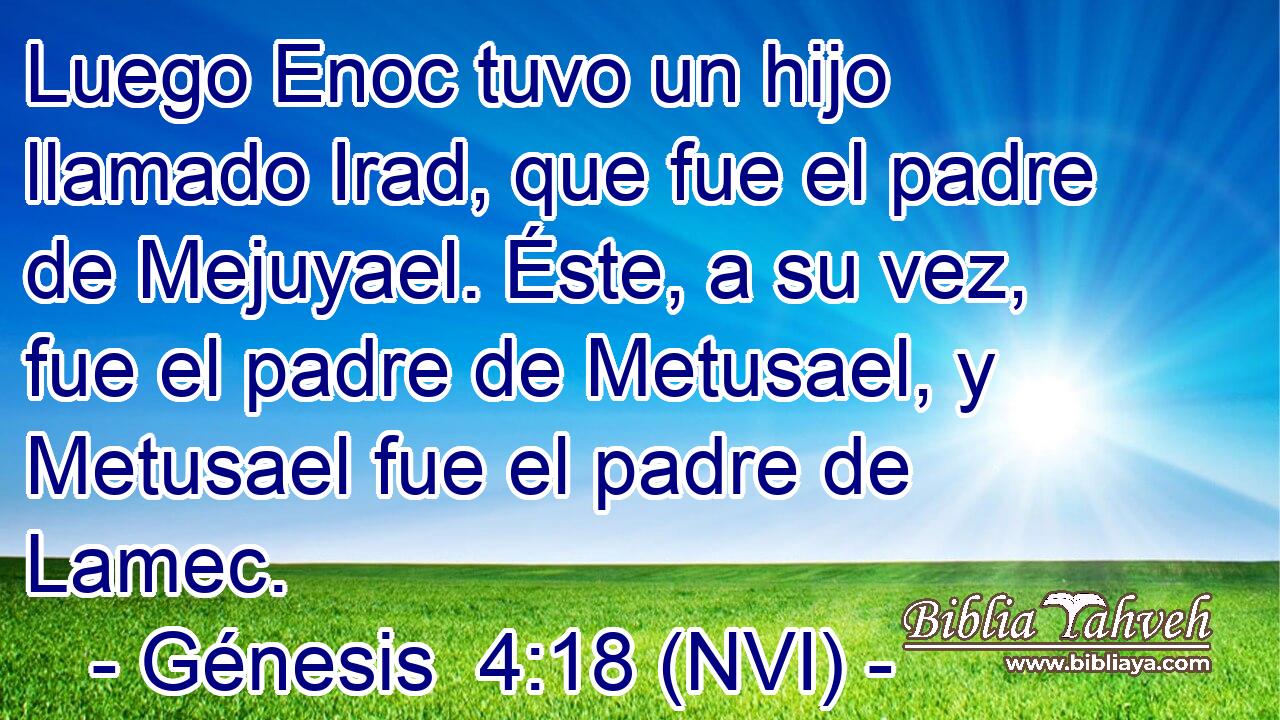  Luego Enoc tuvo un hijo llamado Irad, que fue el padre de Mejuyael. Éste, a su vez, fue el padre de Metusael, y Metusael fue el padre de Lamec. 