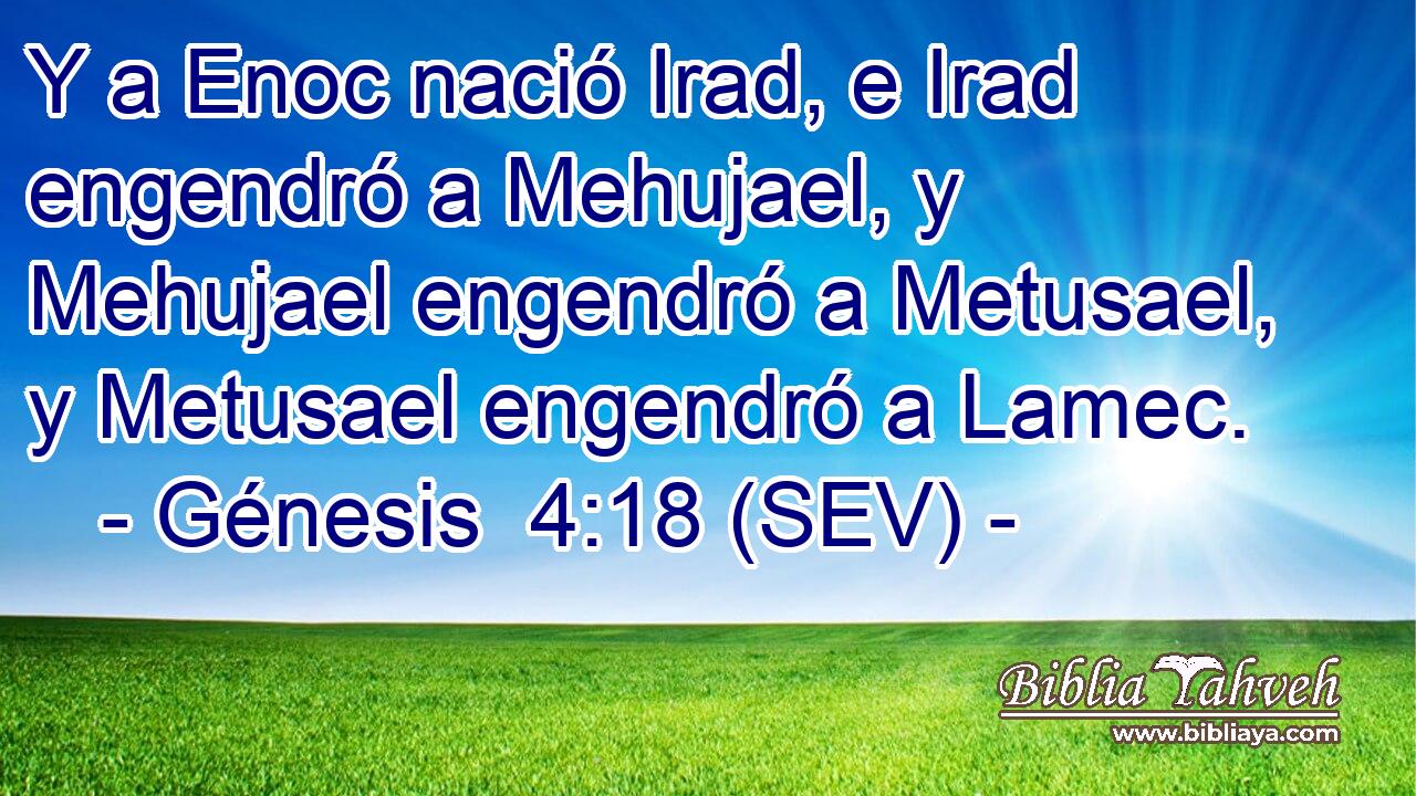 Y a Enoc nació Irad, e Irad engendró a Mehujael, y Mehujael engendró a Metusael, y Metusael engendró a Lamec.