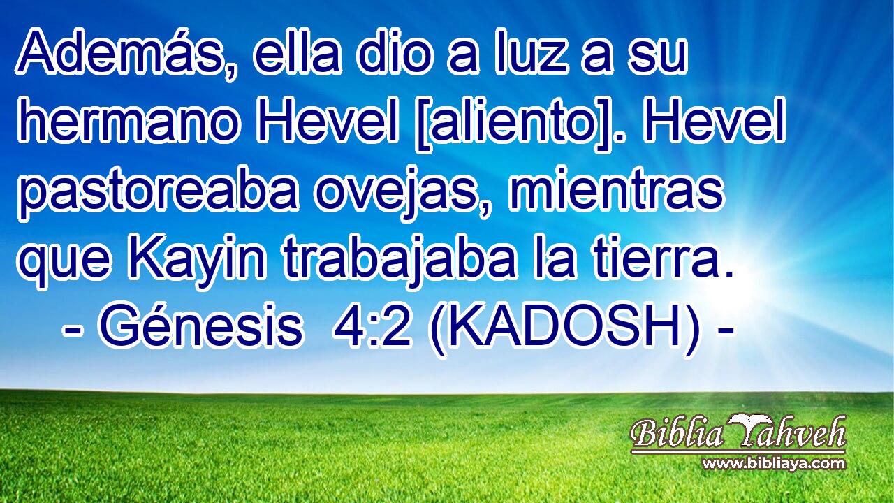  Además, ella dio a luz a su hermano Hevel [aliento]. Hevel pastoreaba ovejas, mientras que Kayin trabajaba la tierra. 